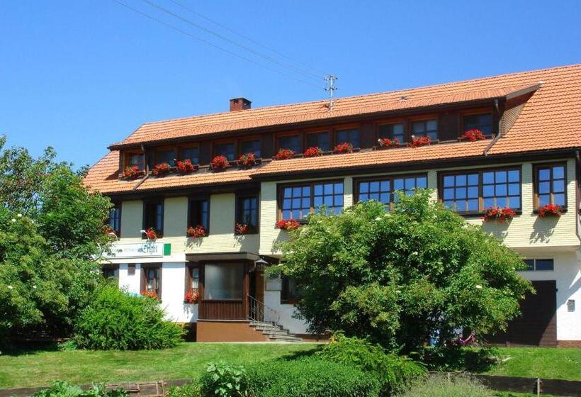 Номер Стандарт Трехместный, Landgasthaus Engel   Naturparkwirt