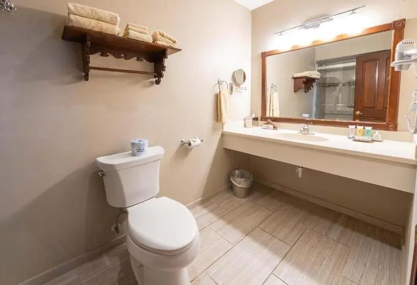 Standard Yhden Hengen Huone, Carlisle Inn Walnut Creek