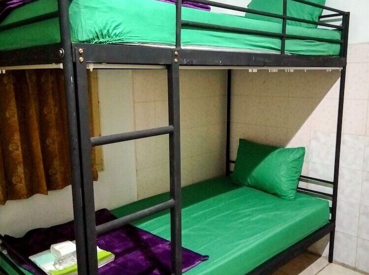 מיטה בחדר משותף, Colorbox House