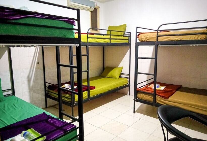 מיטה בחדר משותף, Colorbox House