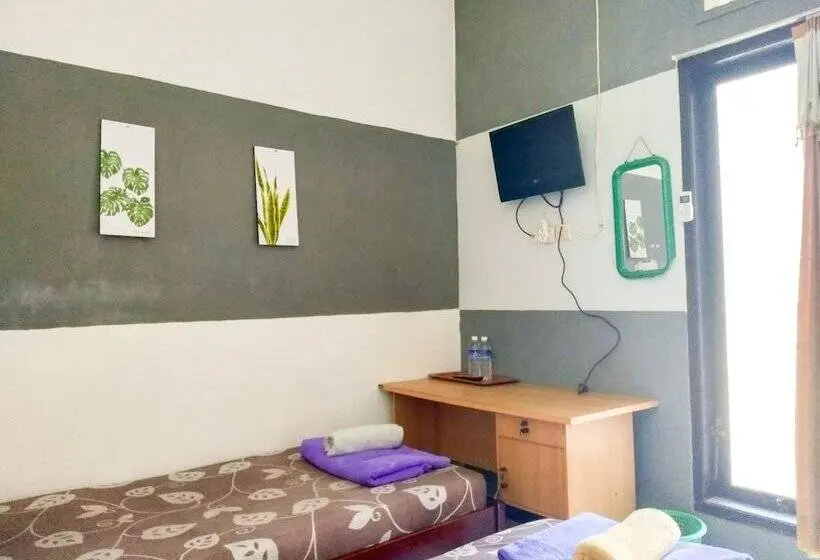 Cameră Economică, Colorbox House