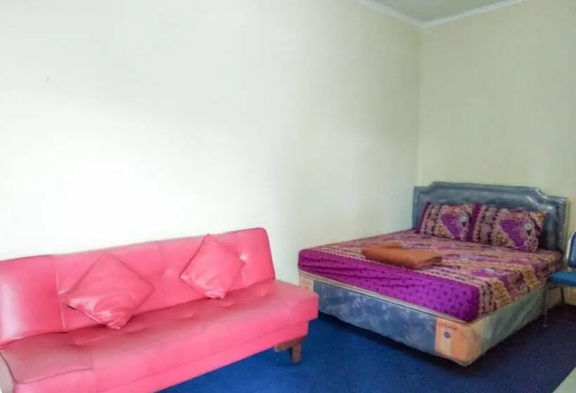 Cameră Deluxe, Colorbox House