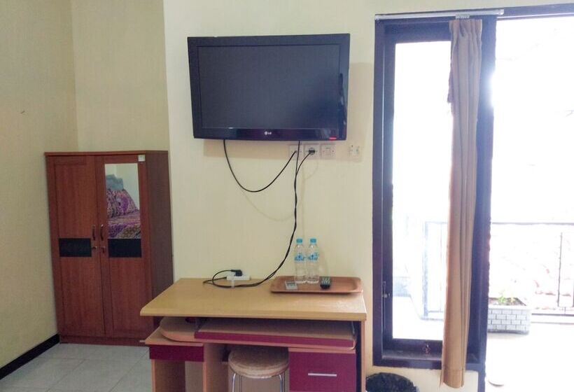 חדר דלוקס, Colorbox House