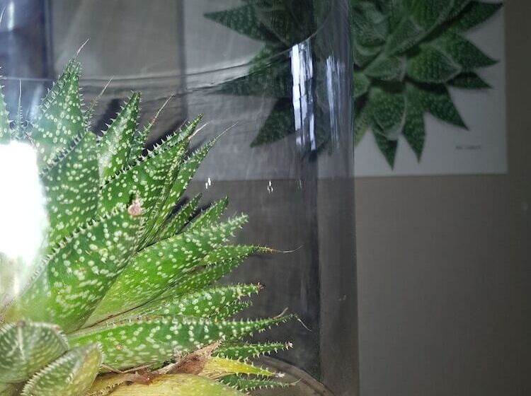 StandaardKamer, 440@brooklyn