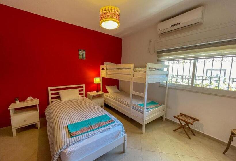 اتاق استاندارد سه نفره, Dar Al Majus