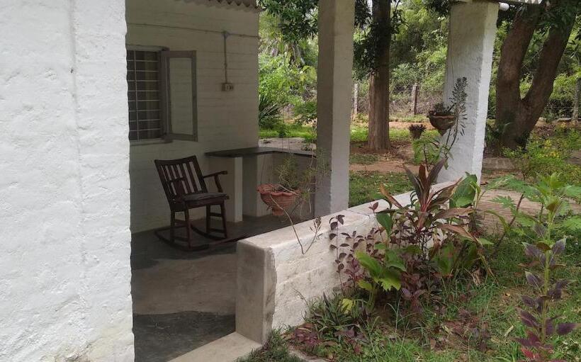 اتاق عادی یک تخته, Isai Ambalam Guest House