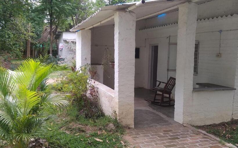 اتاق عادی یک تخته, Isai Ambalam Guest House