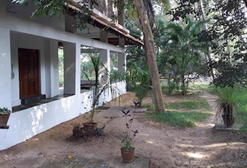 اتاق اکونومی یک تخته, Isai Ambalam Guest House
