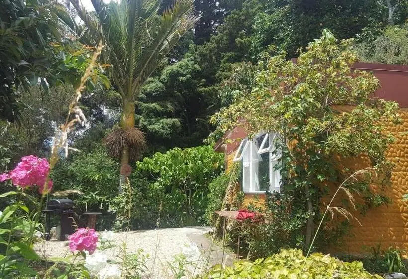 Deluxe-studio, Chalet Karaka