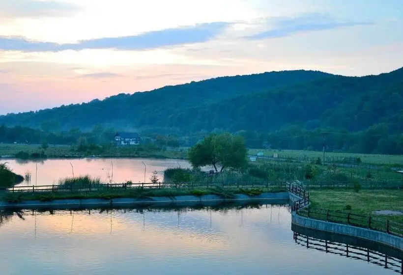 Standard-huone, Poiana Rasnoavei