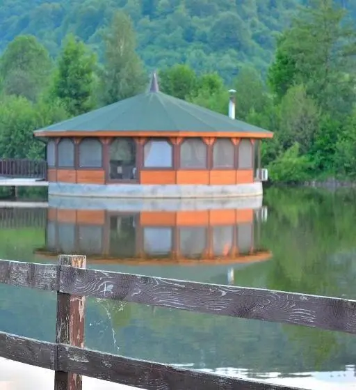 Standard-huone, Poiana Rasnoavei