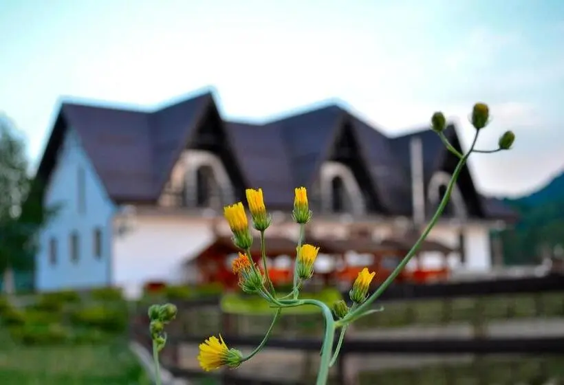 Standard-huone, Poiana Rasnoavei