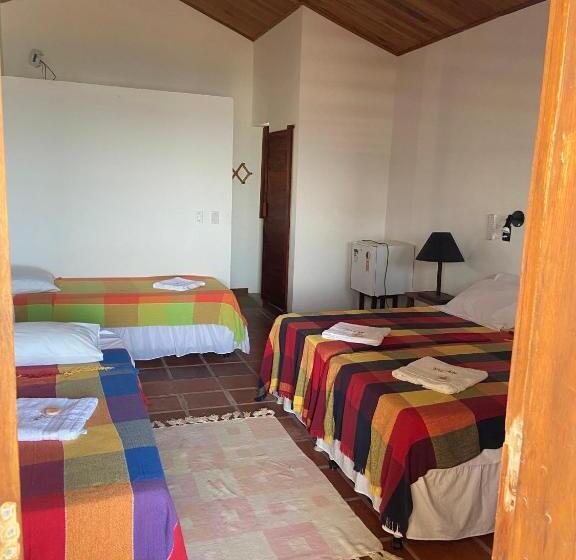 패밀리 룸, Wegokite Stars