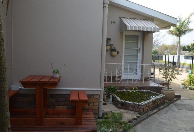 スタンダードルーム, Anni Bos