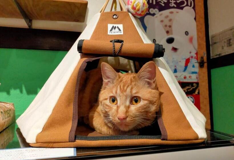 הכלכלה חדר לארבעה עם מקלחת משותפת, Asahikawa Ride