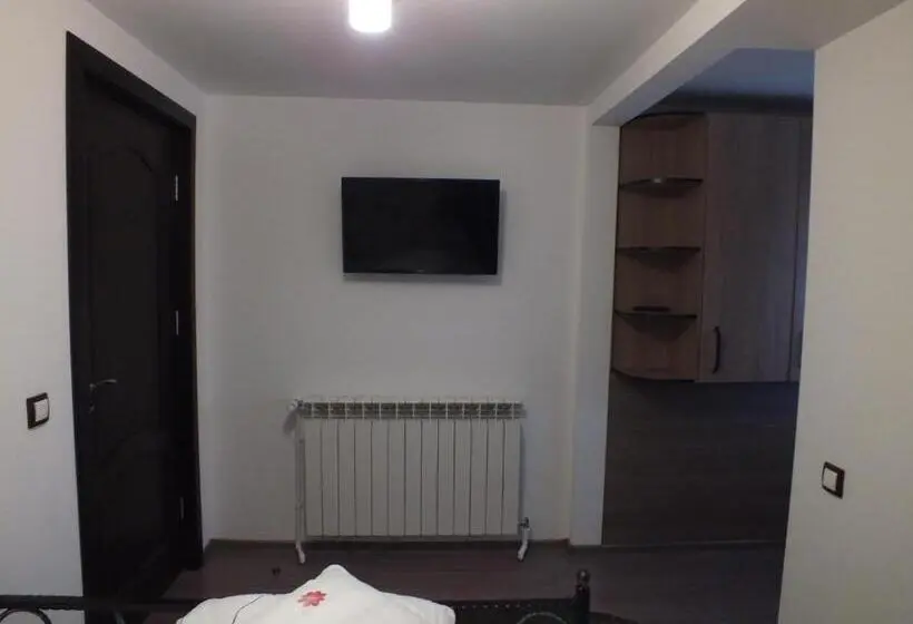 ベーシックルーム, Pensiunea Casa Pancu