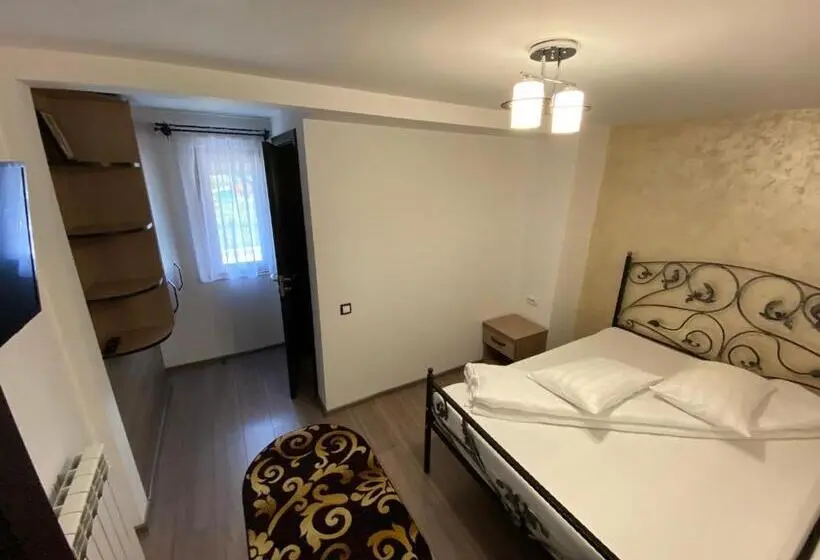 ベーシックルーム, Pensiunea Casa Pancu