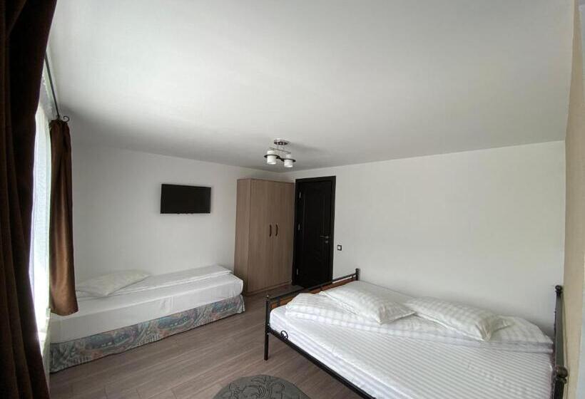 غرفة قياسية ثلاثية, Pensiunea Casa Pancu