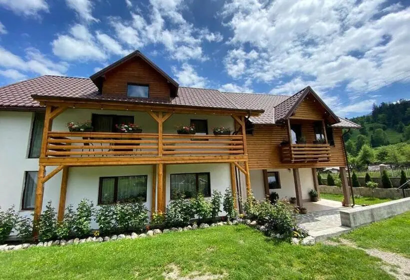 ビラホテル１ベッドルーム, Pensiunea Casa Pancu
