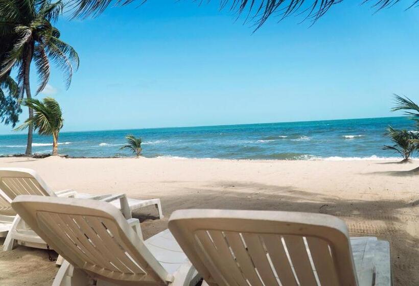 اتاق استاندارد, Inn At White Horse Guest House