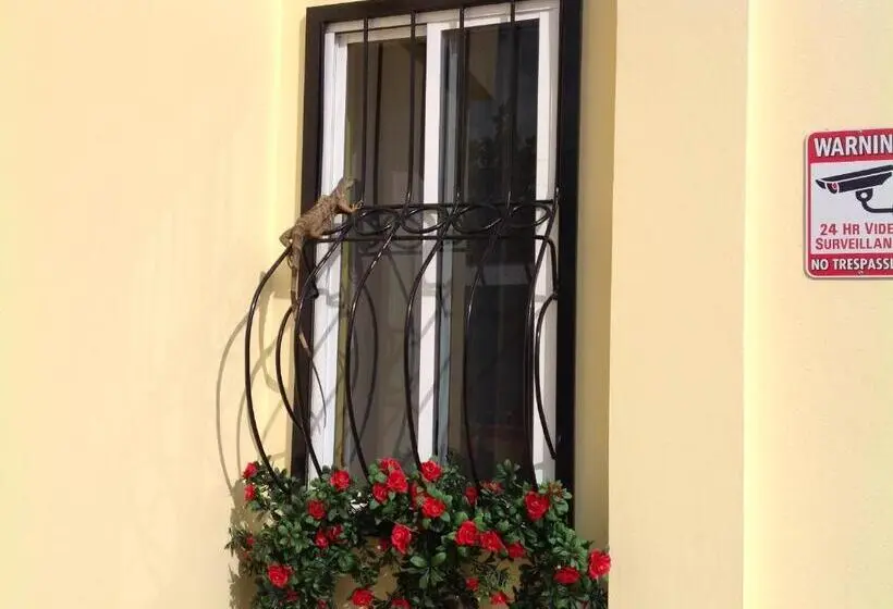 اتاق استاندارد, Inn At White Horse Guest House