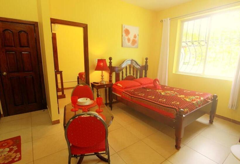 سوییت دوبلکس, Inn At White Horse Guest House