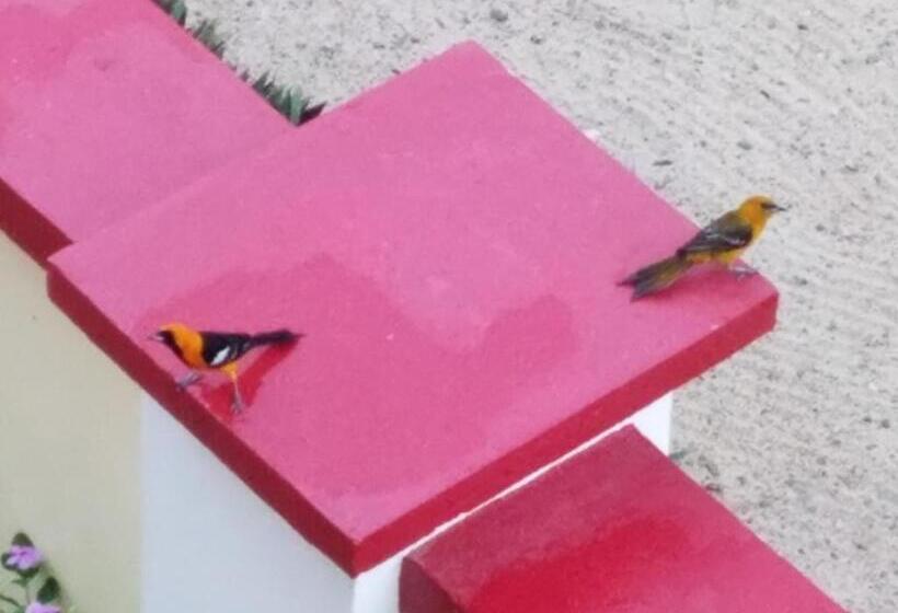 اتاق لوکس, Inn At White Horse Guest House