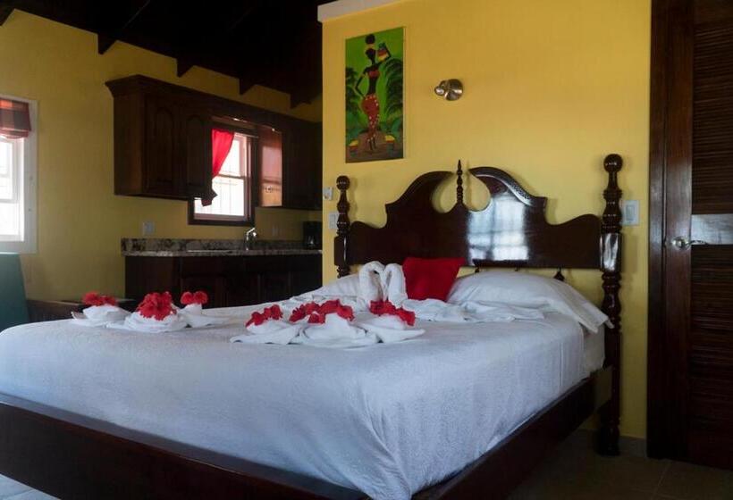 بانگلوی استاندارد, Inn At White Horse Guest House