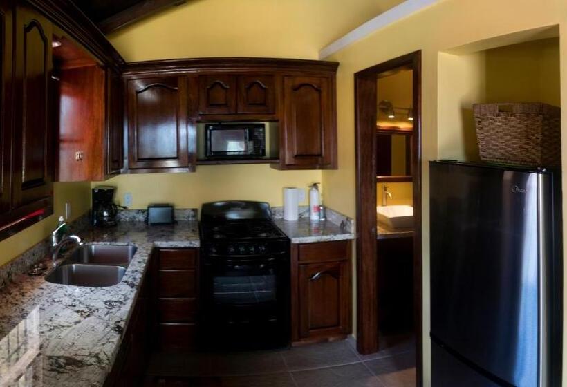 بانگلوی استاندارد, Inn At White Horse Guest House