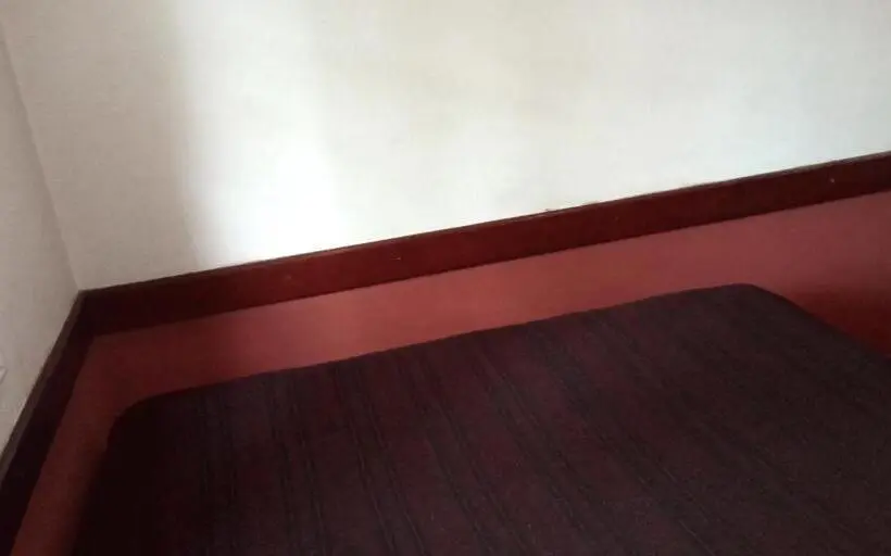 اتاق اکونومی, Pousada Danza Centro