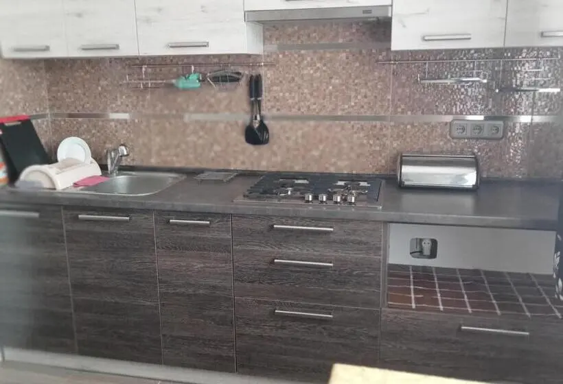 آپارتمان 1 خوابه با بالکن, Villa L Vovskaia