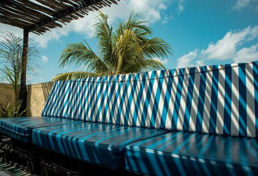 豪华房间, Casa Wayak