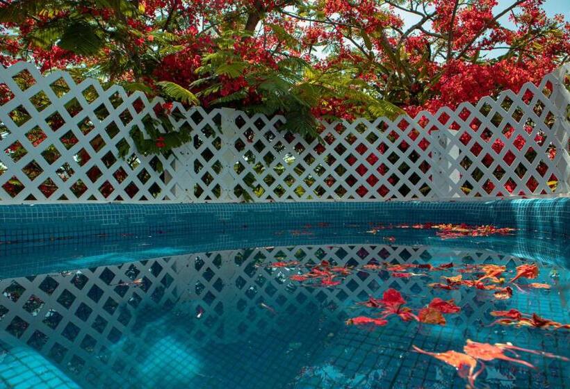 豪华房间, Casa Wayak