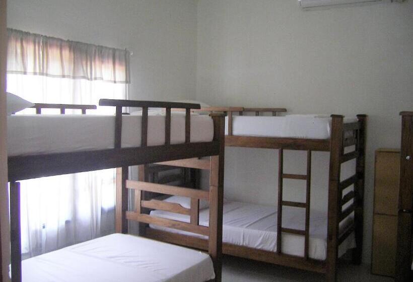 공동 객실, Hostal Palohe Taganga