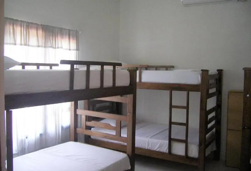 ルームシェアのワンベッド, Hostal Palohe Taganga