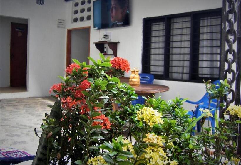 ルームシェアのワンベッド, Hostal Palohe Taganga