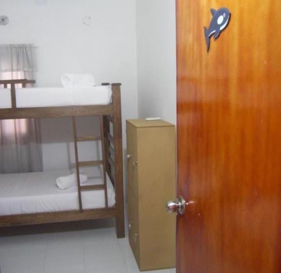 ルームシェアのワンベッド, Hostal Palohe Taganga