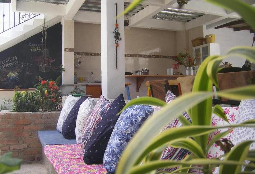 공동 객실, Hostal Palohe Taganga