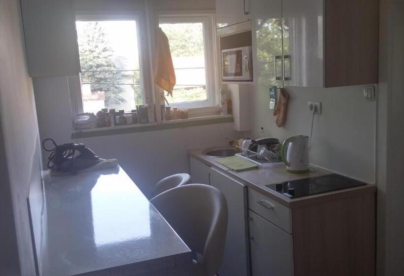 اتاق استاندارد با سرویس بهداشتی مشترک, Rooms & Apartments Murgle Ljubljana