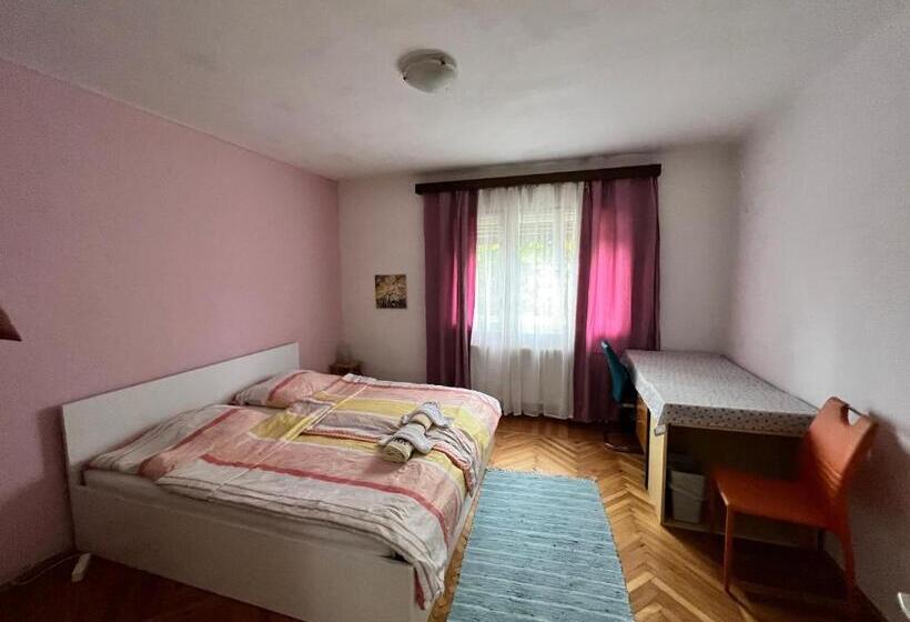 اتاق استاندارد با سرویس بهداشتی مشترک, Rooms & Apartments Murgle Ljubljana