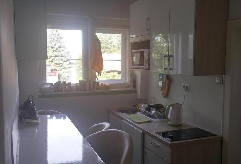 اتاق استاندارد با سرویس بهداشتی مشترک, Rooms & Apartments Murgle Ljubljana