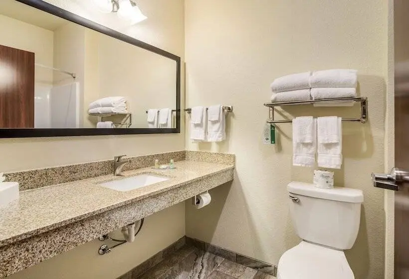 Standard-studio, Cobblestone Hotel & Suites - Gering/scottsbluff