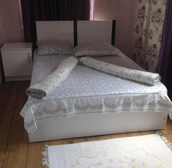 اتاق استاندارد, Natia