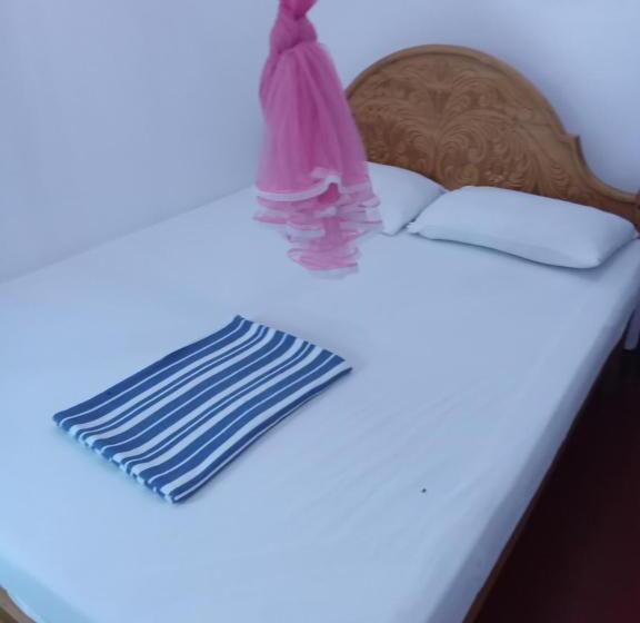 חדר דלוקס, Vibushan Guest House