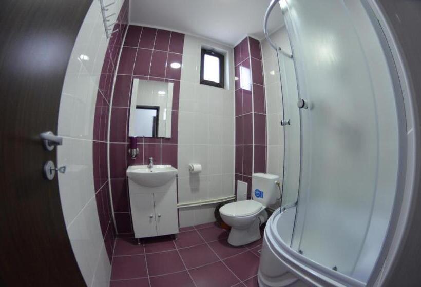 标准工作室带阳台, Razvan Holiday