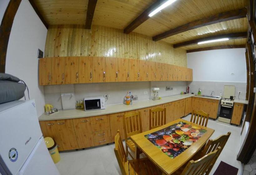 标准工作室带阳台, Razvan Holiday