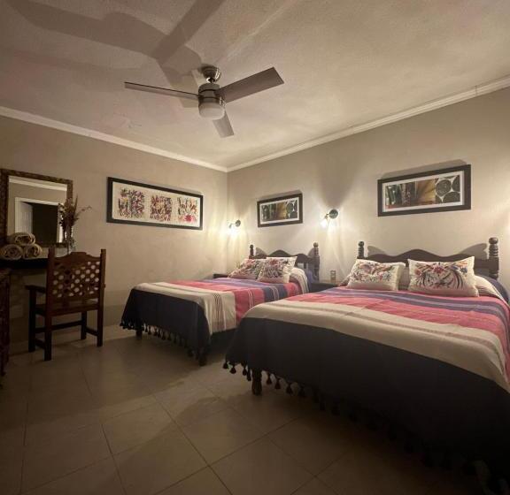 اتاق استاندارد چهار تخته, Casa Tecolote