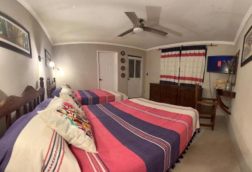اتاق استاندارد چهار تخته, Casa Tecolote