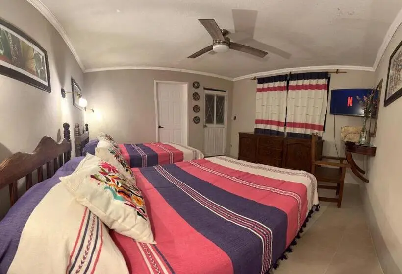 اتاق استاندارد چهار تخته, Casa Tecolote