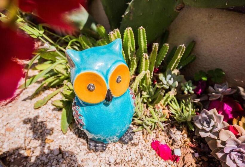 Вилла 1 Спальня Вид на Море, Butterfy Seaview Resort Villa